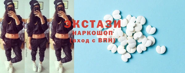 гидра Богданович