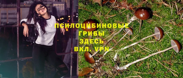гидра Богданович
