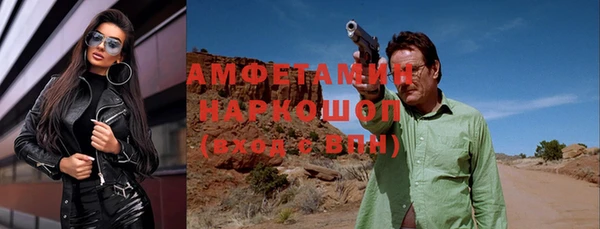 гидра Богданович